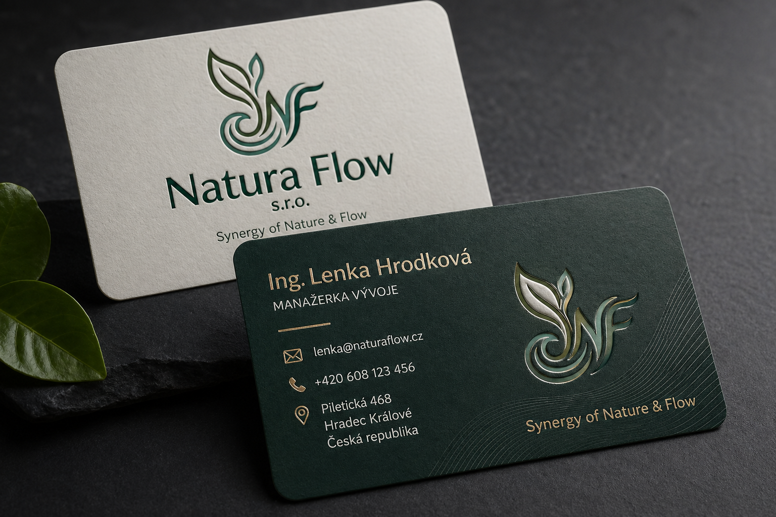 Prémiová identita a vizitka Natura Flow